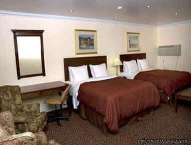 Knights Inn קינגסטון מראה חיצוני תמונה